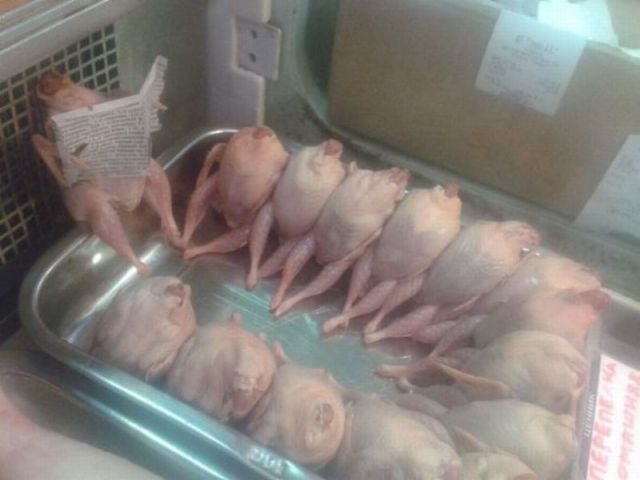 morning picdump 59 pics 12.html - 59 HD Photos | Premium Gallery 2012