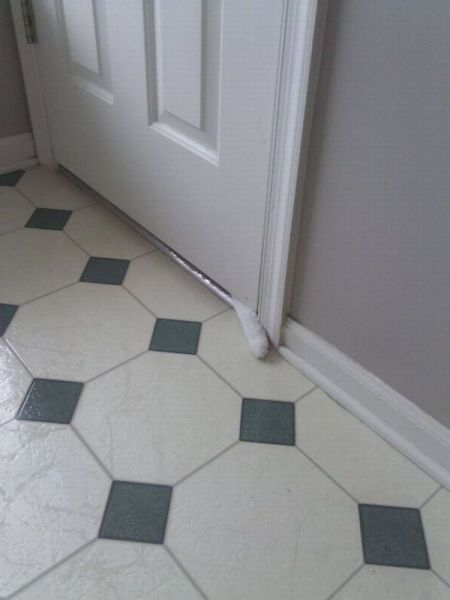 morning picdump 56 pics 21.html - 56 HD Photos | Premium Gallery 2012