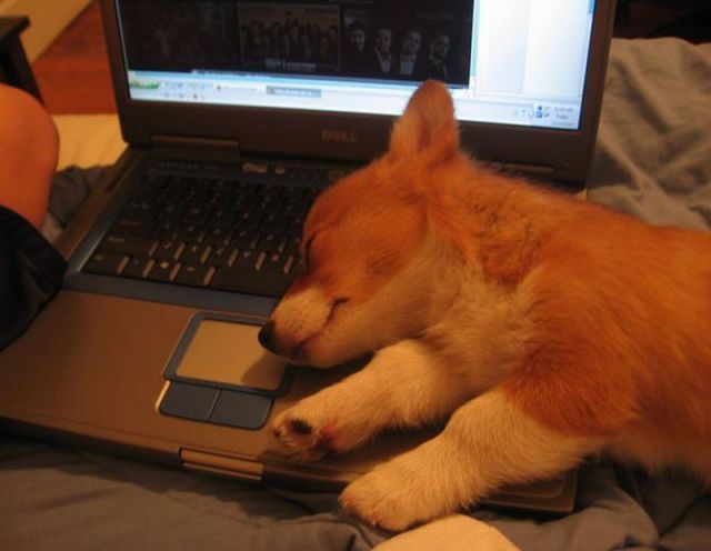 morning picdump 56 pics 21.html - 56 HD Photos | Premium Gallery 2012