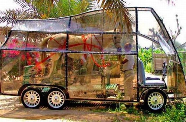 morning picdump 56 pics 21.html - 56 HD Photos | Premium Gallery 2012