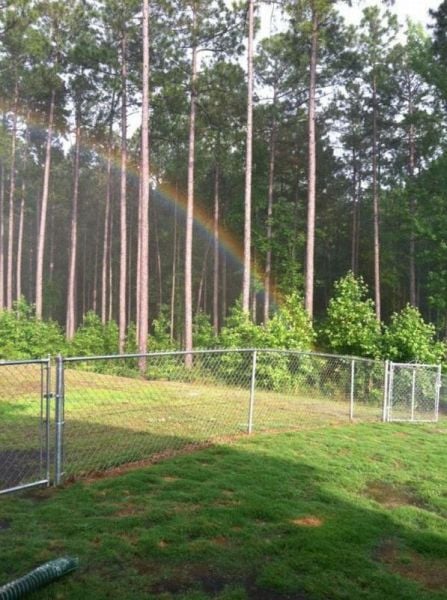 morning picdump 56 pics 21.html - 56 HD Photos | Premium Gallery 2012