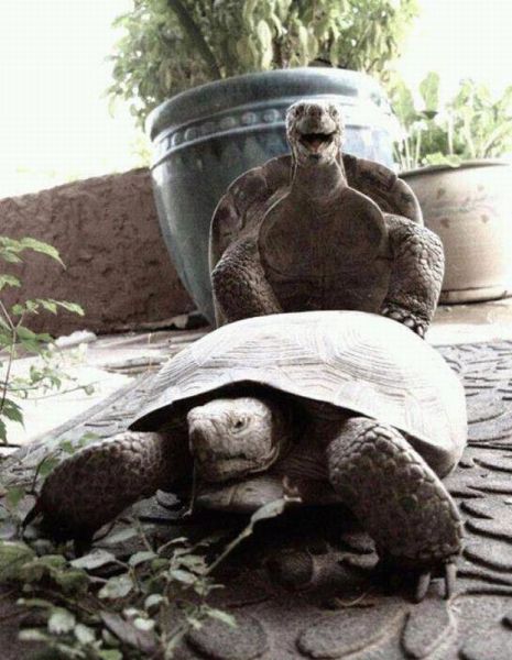 morning picdump 56 pics 21.html - 56 HD Photos | Premium Gallery 2012