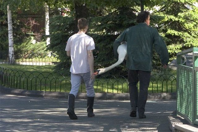 morning picdump 56 pics 21.html - 56 HD Photos | Premium Gallery 2012