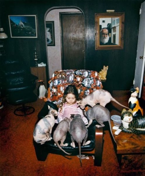 morning picdump 58 pics 21.html - 58 HD Photos | Premium Gallery 2012