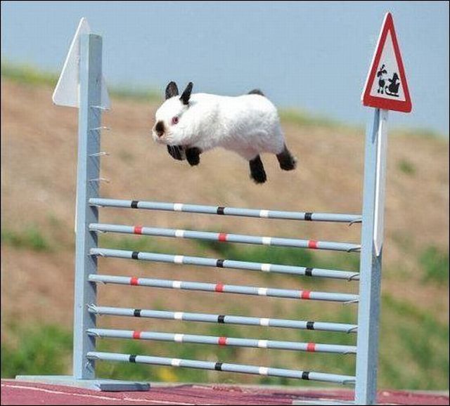 morning picdump 58 pics 21.html - 58 HD Photos | Premium Gallery 2012