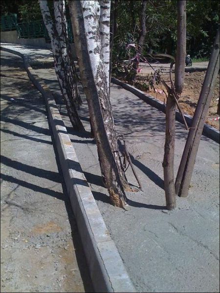 morning picdump 58 pics 21.html - 58 HD Photos | Premium Gallery 2012