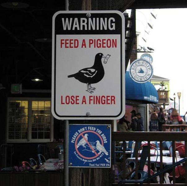 Hilarious Road Signs. Part 2