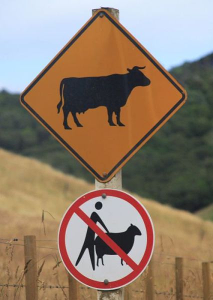 Hilarious Road Signs. Part 2