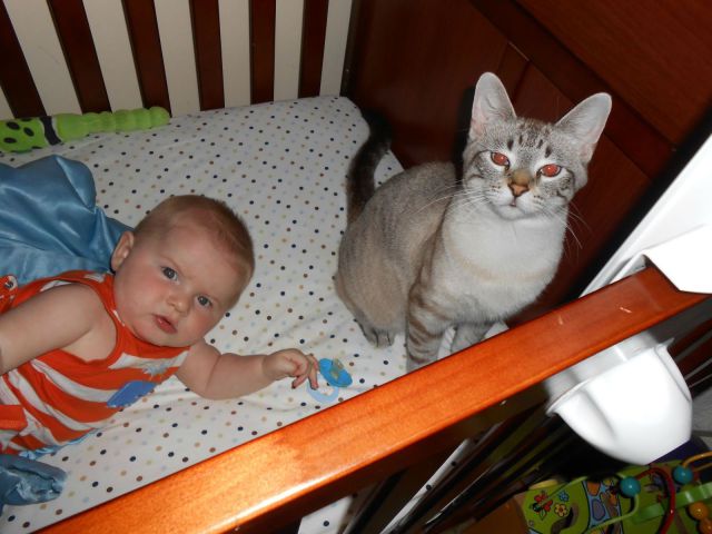 morning picdump 57 pics 2.html - 57 HD Photos | Premium Gallery 2012