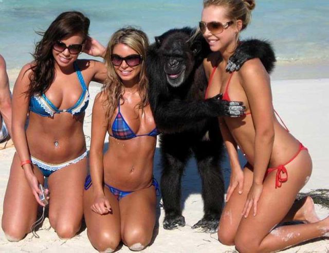 The Most Ridiculous Bikini Photos Ever