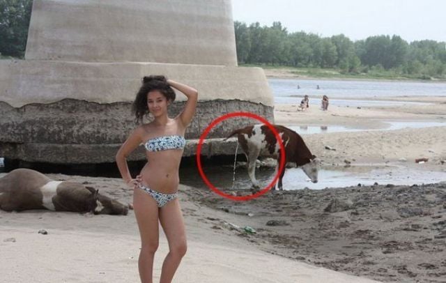 The Most Ridiculous Bikini Photos Ever