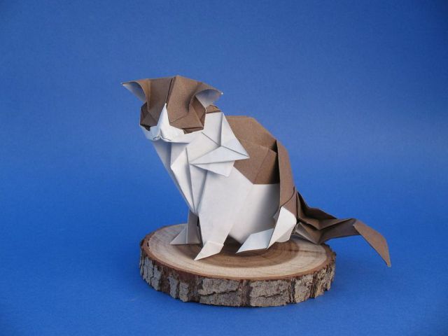 morning picdump 58 pics 6.html - 58 HD Photos | Premium Gallery 2012