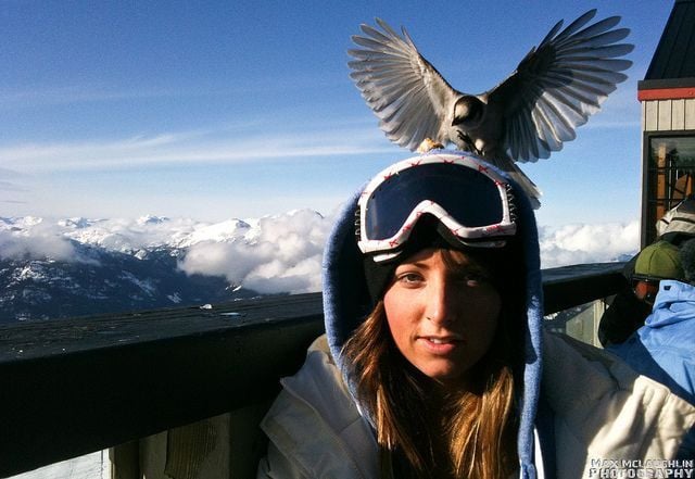 morning picdump 58 pics 6.html - 58 HD Photos | Premium Gallery 2012