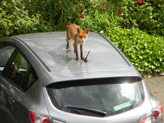 morning picdump 58 pics 6.html - 58 HD Photos | Premium Gallery 2012