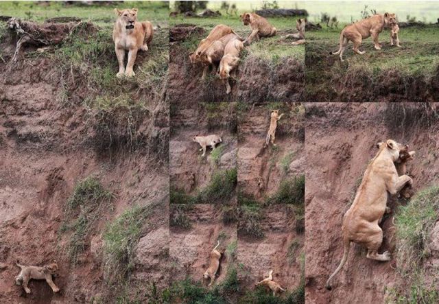 morning picdump 58 pics 1.html - 58 HD Photos | Premium Gallery 2012