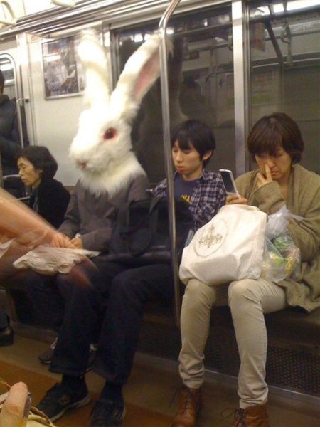 morning picdump 58 pics 1.html - 58 HD Photos | Premium Gallery 2012