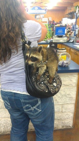 morning picdump 58 pics 1.html - 58 HD Photos | Premium Gallery 2012