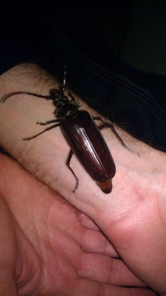 morning picdump 61 pics 2.html - 61 HD Photos | Premium Gallery 2012