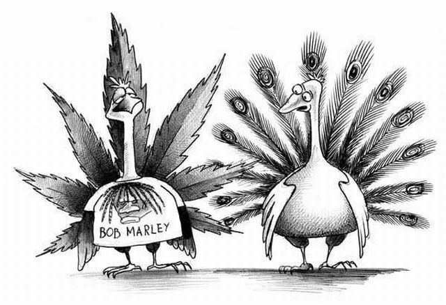 morning picdump 61 pics 2.html - 61 HD Photos | Premium Gallery 2012