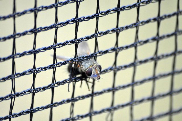 morning picdump 61 pics 2.html - 61 HD Photos | Premium Gallery 2012