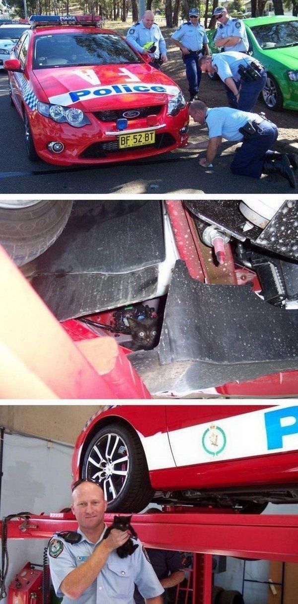 morning picdump 61 pics 2.html - 61 HD Photos | Premium Gallery 2012