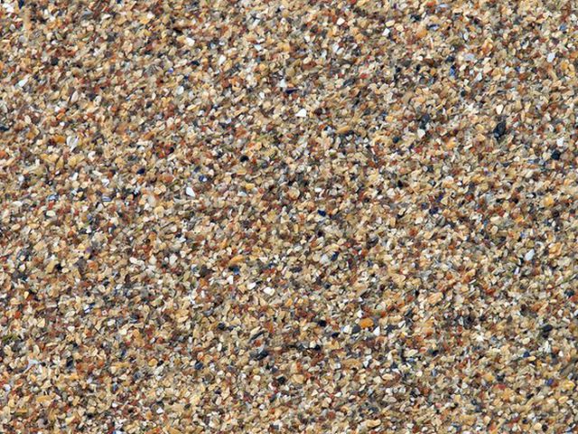 This Is Why Beaches Suck