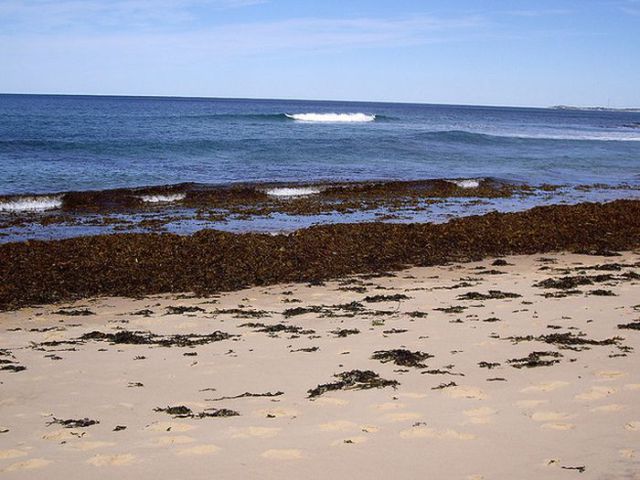 This Is Why Beaches Suck