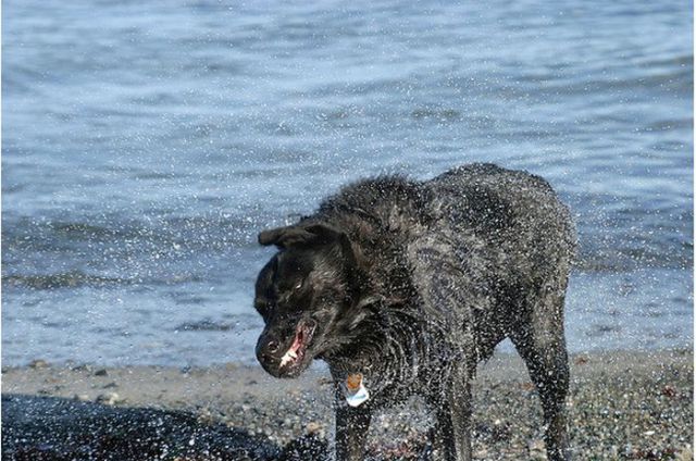 This Is Why Beaches Suck