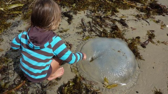 This Is Why Beaches Suck