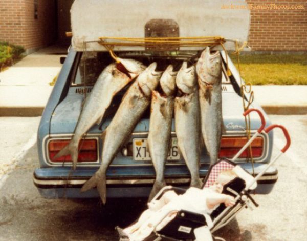 Awkward Family Photos. Part 9