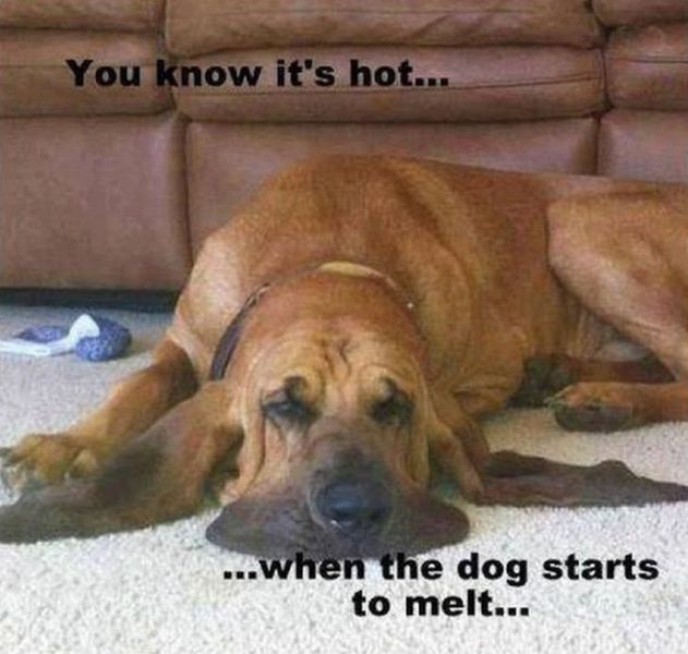 morning picdump 56 pics 5.html - 56 HD Photos | Premium Gallery 2012