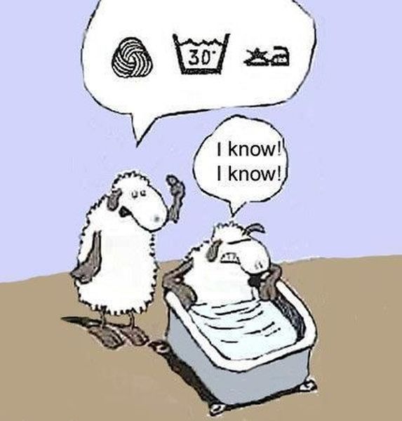 morning picdump 56 pics 5.html - 56 HD Photos | Premium Gallery 2012