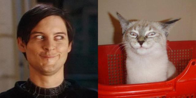 daily picdump 108 pics 39.html - 108 HD Photos | Premium Gallery 2012