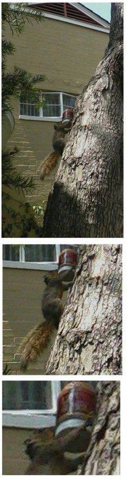 daily picdump 108 pics 39.html - 108 HD Photos | Premium Gallery 2012