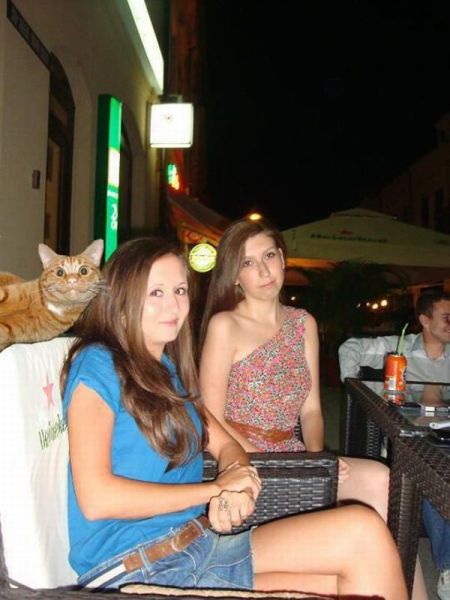 daily picdump 108 pics 39.html - 108 HD Photos | Premium Gallery 2012