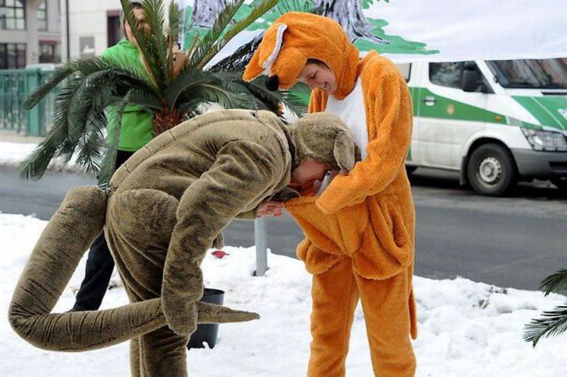 daily picdump 108 pics 39.html - 108 HD Photos | Premium Gallery 2012