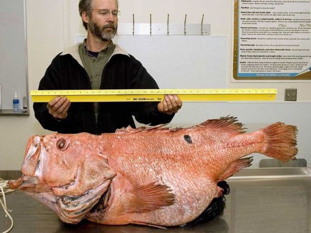 daily picdump 108 pics 39.html - 108 HD Photos | Premium Gallery 2012