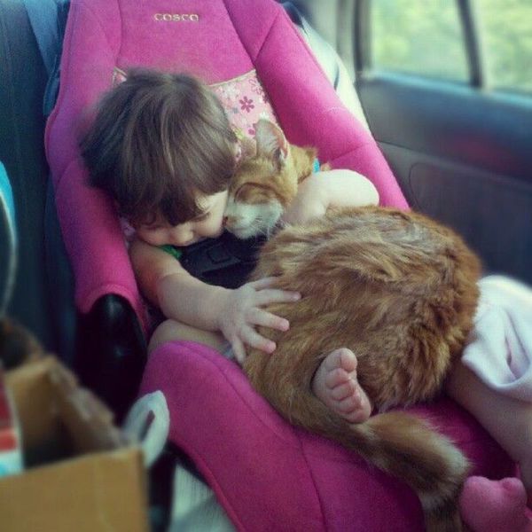 daily picdump 108 pics 39.html - 108 HD Photos | Premium Gallery 2012