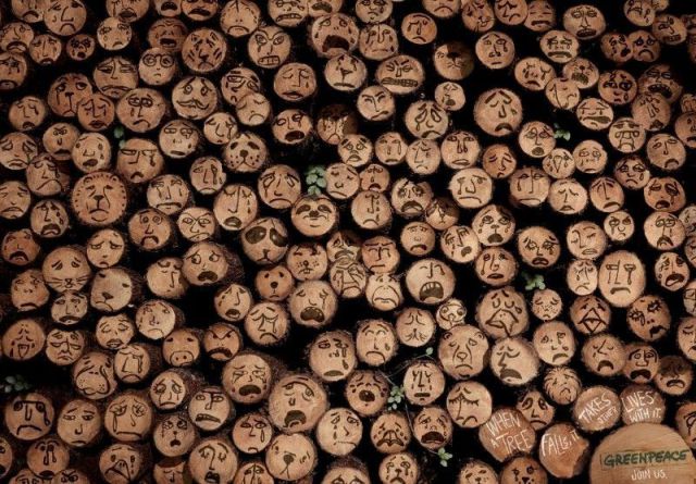 morning picdump 58 pics 9.html - 58 HD Photos | Premium Gallery 2012