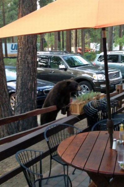 morning picdump 58 pics 9.html - 58 HD Photos | Premium Gallery 2012