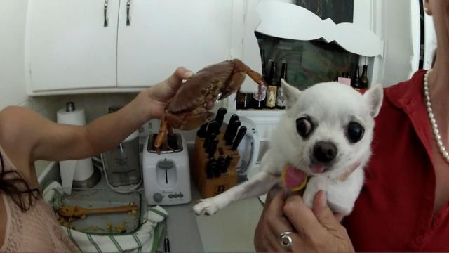 morning picdump 58 pics 9.html - 58 HD Photos | Premium Gallery 2012