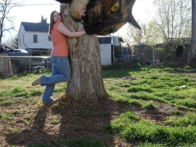 morning picdump 58 pics 9.html - 58 HD Photos | Premium Gallery 2012