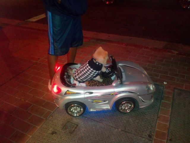 morning picdump 57 pics 3.html - 57 HD Photos | Premium Gallery 2012