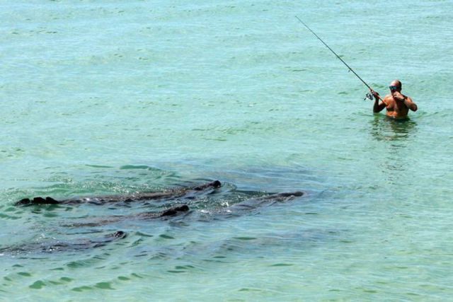 morning picdump 57 pics 3.html - 57 HD Photos | Premium Gallery 2012