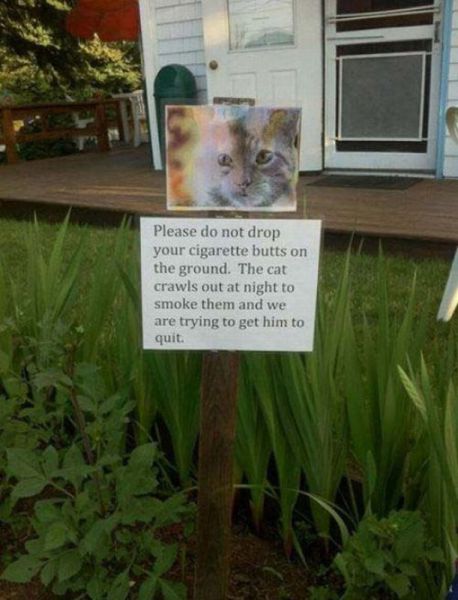 morning picdump 57 pics 3.html - 57 HD Photos | Premium Gallery 2012