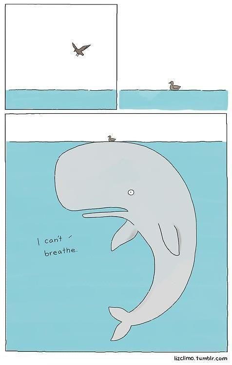 morning picdump 57 pics 3.html - 57 HD Photos | Premium Gallery 2012