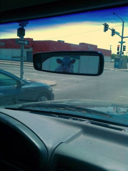 No One Should Have to See This