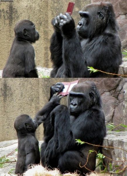 No One Should Have to See This