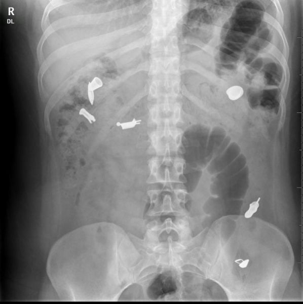 morning picdump 56 pics 4.html - 56 HD Photos | Premium Gallery 2012