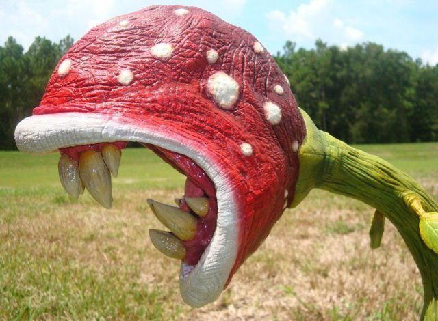 daily picdump 90 pics 39.html - 90 HD Photos | Premium Gallery 2012